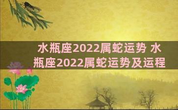 水瓶座2022属蛇运势 水瓶座2022属蛇运势及运程